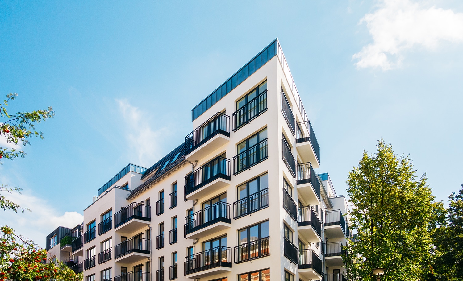 Alfa Insurance - The Williams-Sims Agency renters insurance